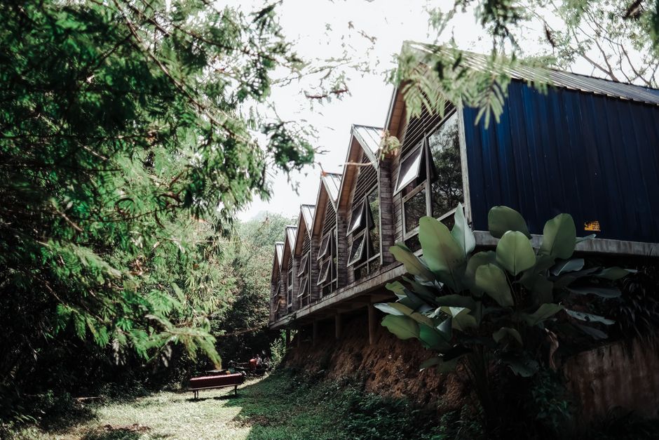 Side view of modern wooden cabins surrounded by lush greenery in a serene outdoor setting.