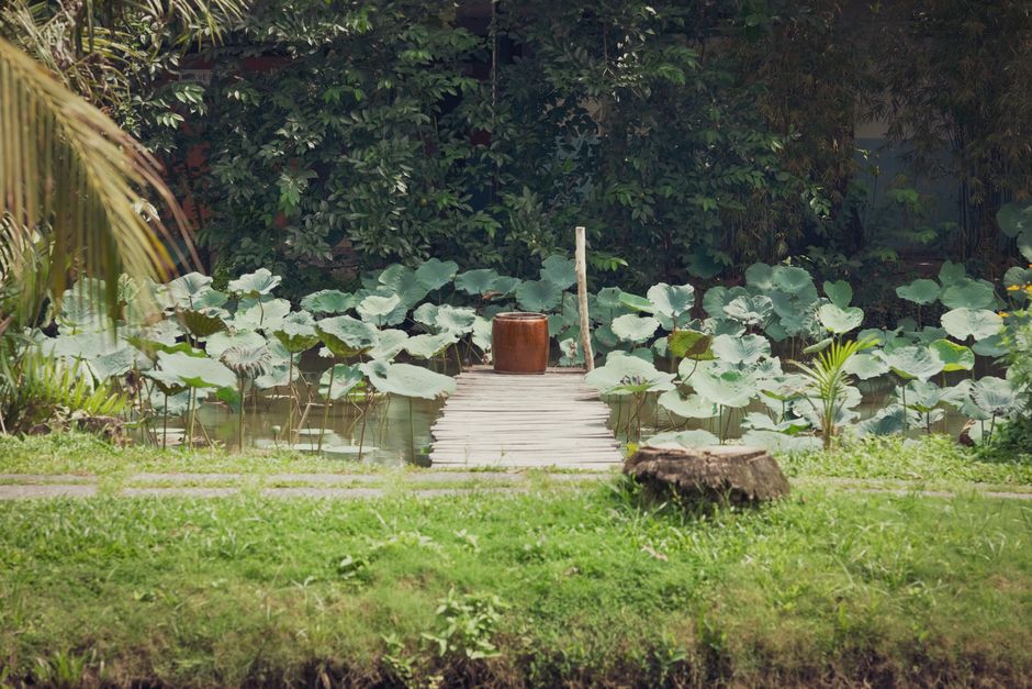 Serene garden with lush greenery, water lilies, and a peaceful wooden pathway.