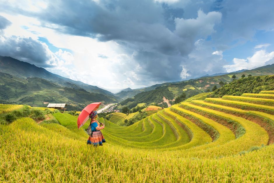 Woman with red umbrella amidst lush, vibrant rice terraces on a cloudy day.
