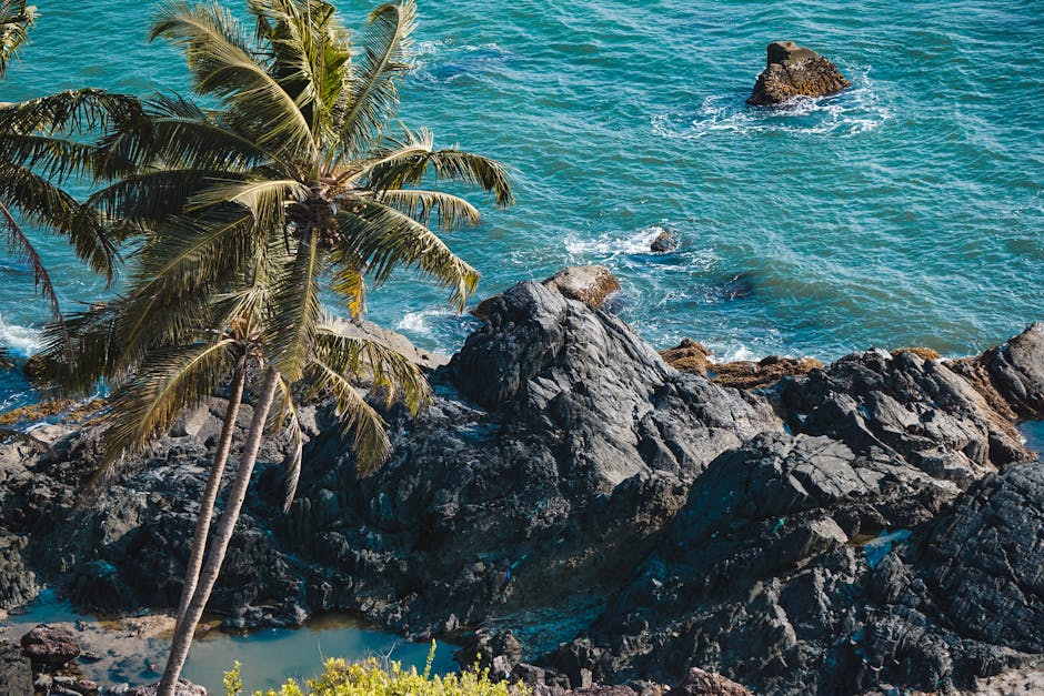 Stunning aerial image of a rocky tropical coastline with palm trees and turquoise sea.