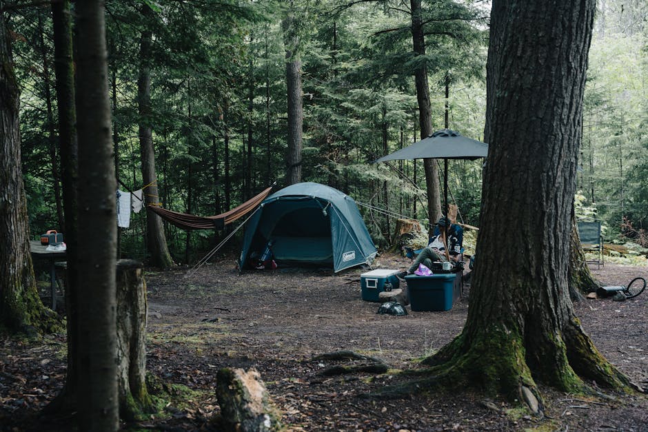 Tranquil forest camping site with a tent, hammock, and camping equipment surrounded by lush trees.
