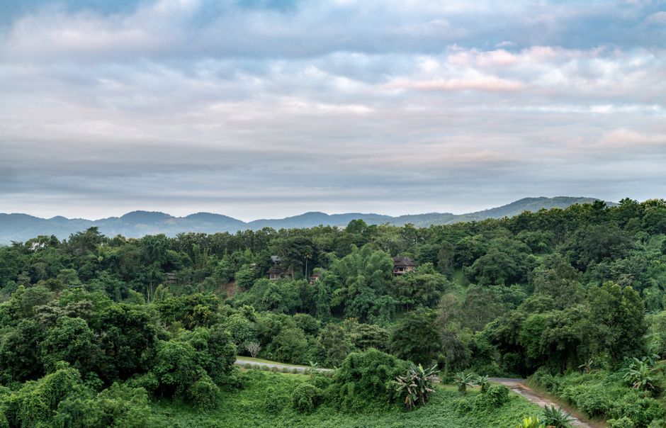 Beautiful view of lush green hills and forests in Chiang Rai, Thailand under a cloudy sky.