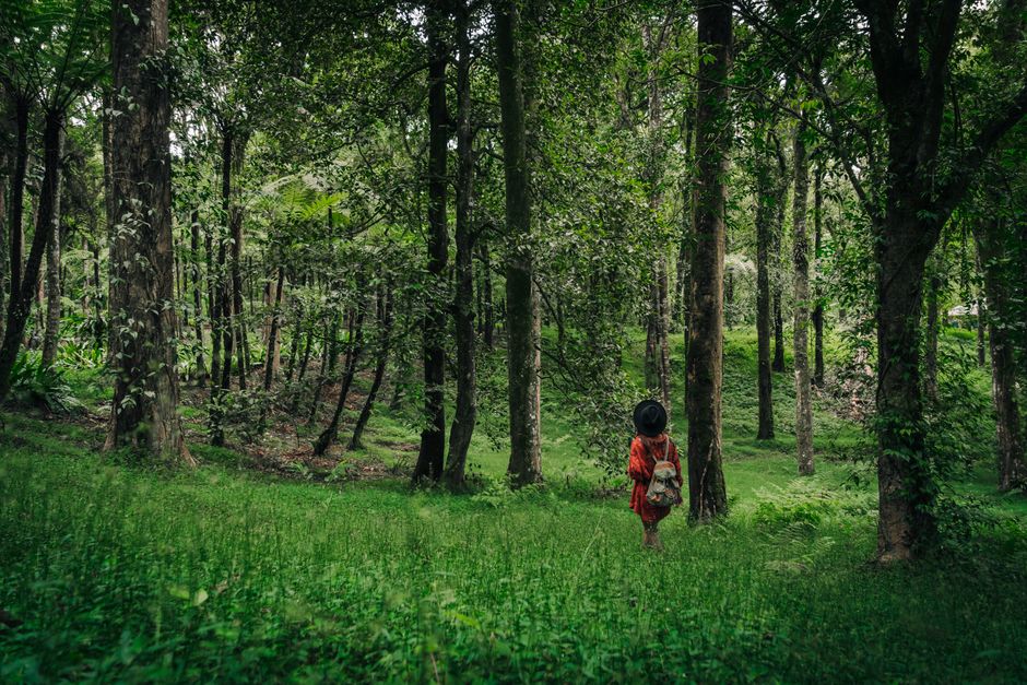 Woman with backpack exploring dense green forest, embracing nature and adventure.