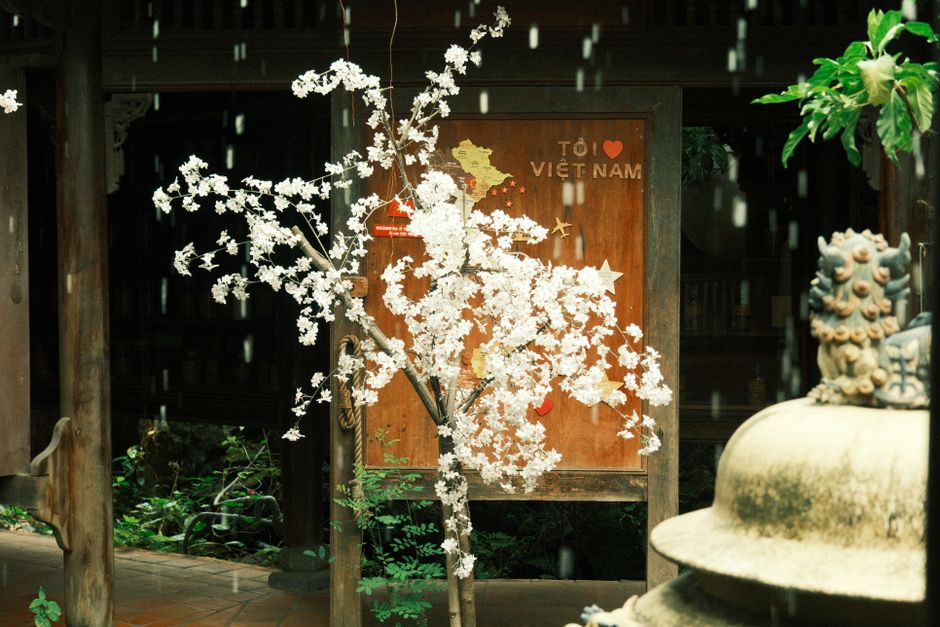 A cherry blossom tree indoors with a wooden sign featuring 
