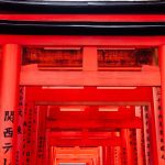 Kyoto Travel Guide 2026: 4 Days of Real Culture