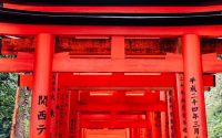 Kyoto Travel Guide 2026: 4 Days of Real Culture