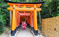 Kyoto Travel Guide 2026: A 4-Day Culture Itinerary