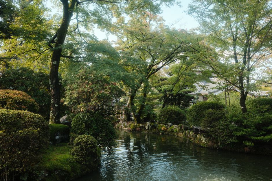 A peaceful Japanese garden in Kyoto featuring lush greenery and a calm pond.