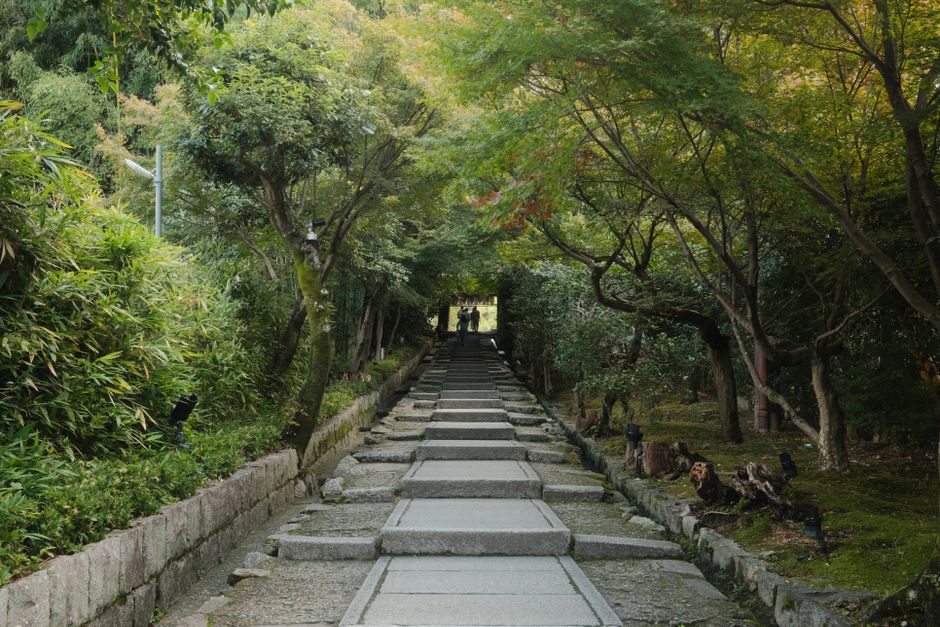 Serene stone pathway surrounded by lush green trees in Kyoto, Japan, perfect for peaceful walks.