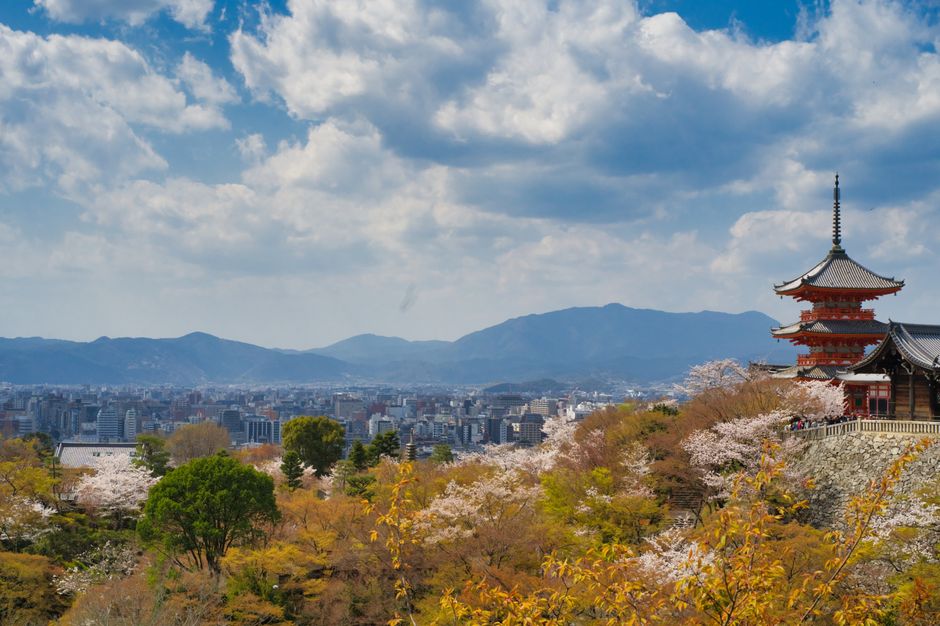 A breathtaking view of Kiyomizu-dera Temple in Kyoto during spring, surrounded by cherry blossoms.