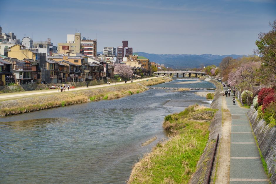 Explore the serene Kamo River with cherry blossoms and traditional architecture in Kyoto, Japan.