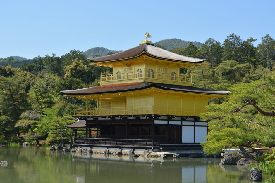 A stunning view of the golden Kinkaku-ji temple in a serene Kyoto garden.