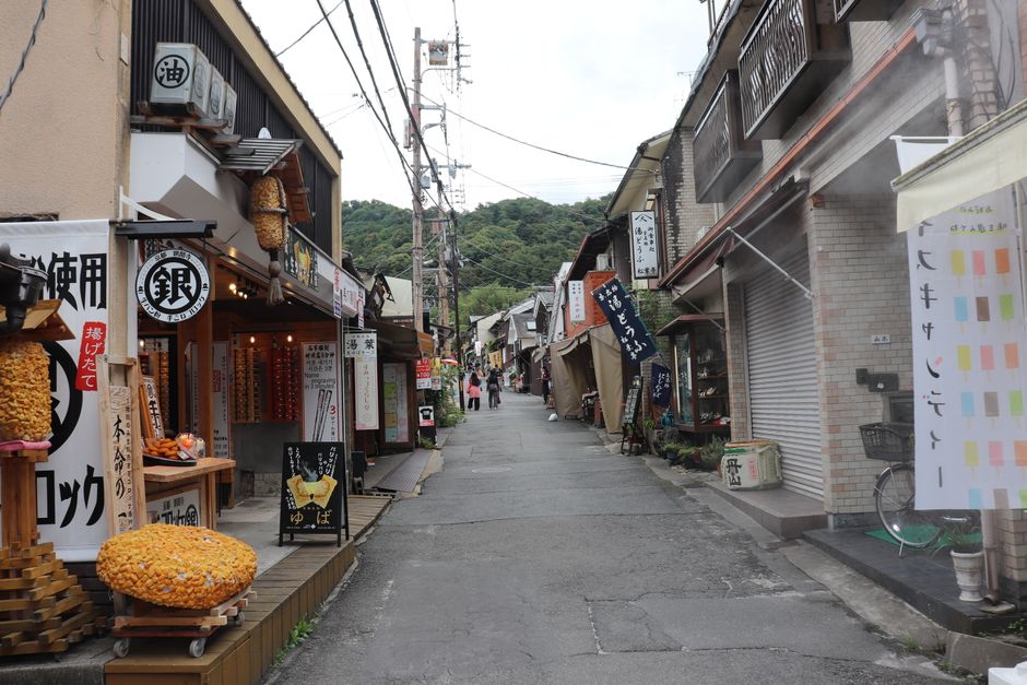 Explore the bustling street of Ninenzaka, Kyoto, with traditional shops and scenic views.