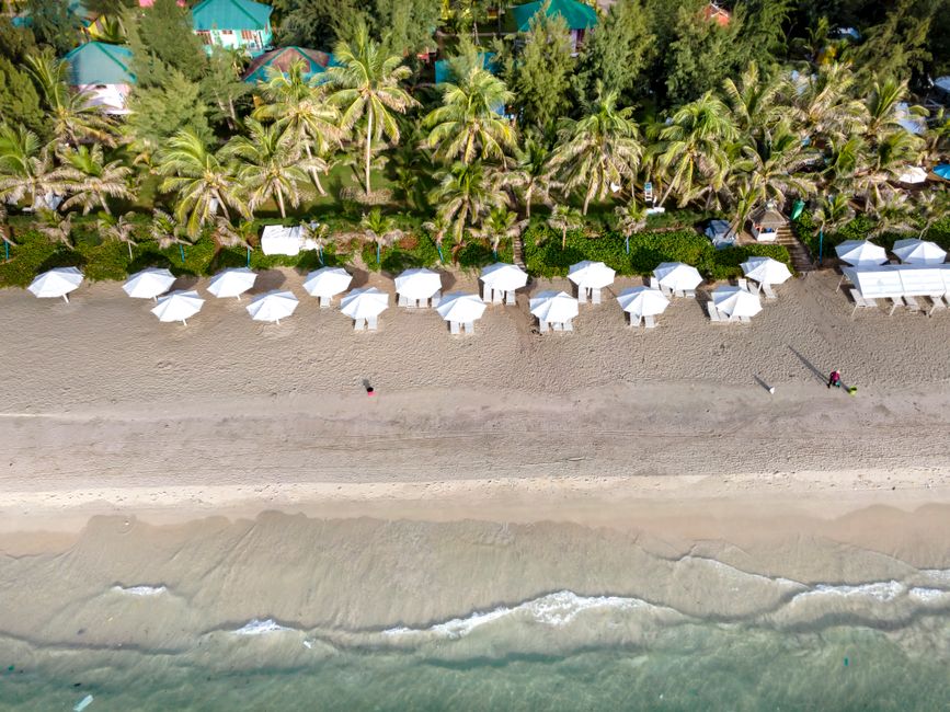 Stunning aerial view of a tropical beach with white umbrellas and palm trees, perfect for a summer destination.