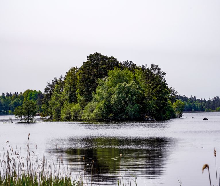 A tranquil forest island reflected in a calm lake, surrounded by lush greenery.
