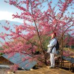 Packing List for a Weekend Trip That Stays Light