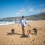How to Find Pet-Friendly Vacation Rentals in Major US Cities