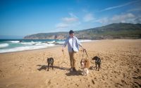 How to Find Pet-Friendly Vacation Rentals in Major US Cities