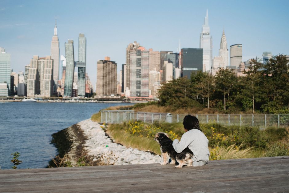 Back view of anonymous ethnic kid with dog sitting on wooden embankment while contemplating urban skyscrapers