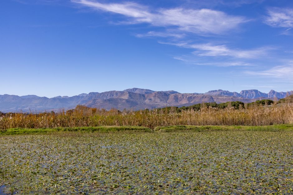 A calm marshland with a stunning mountain range under a clear blue sky.