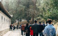 Spring Walks in Central London: March Parks 2026