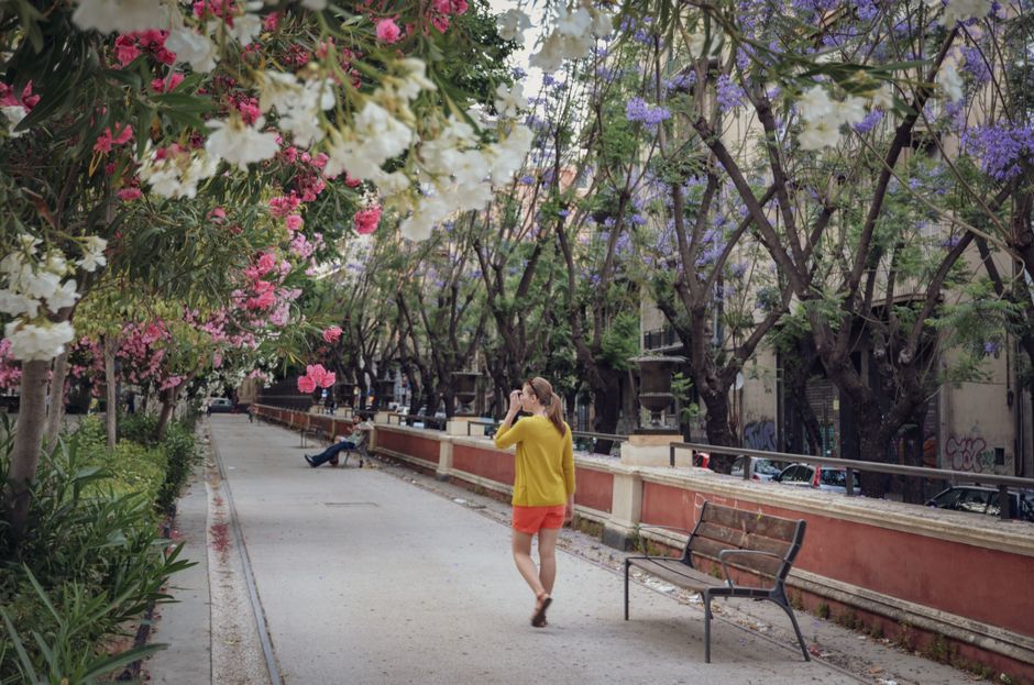 A woman walking in a park lined with flowering trees and a bench on a spring day.