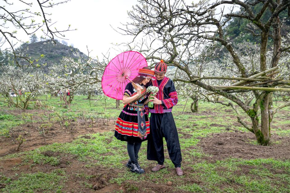 A couple in vibrant traditional attire enjoying a romantic moment in a blossoming spring orchard.