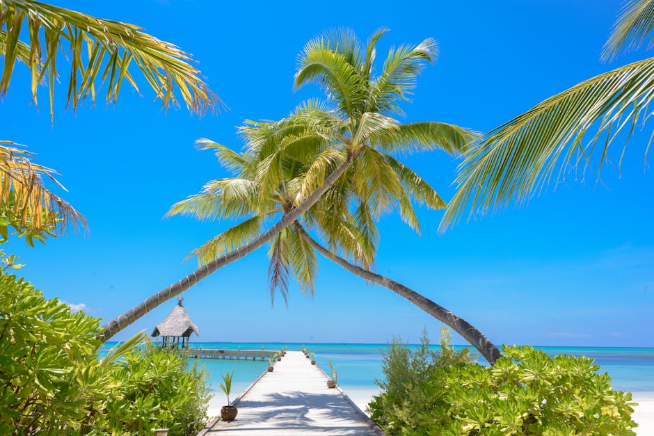 Idyllic tropical beach view with palm trees and pier in Maldives, ideal for relaxation and vacation.