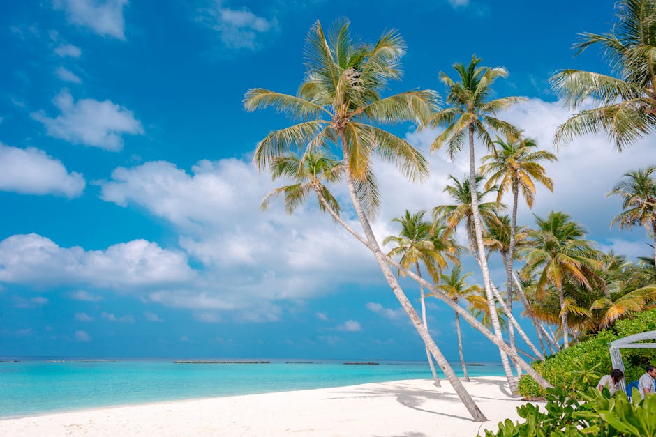 Experience paradise with pristine beaches and coconut palms in Maldives.