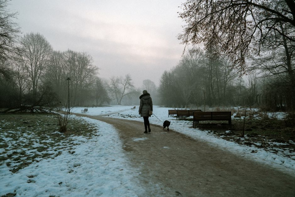 A person walking with a dog along a snowy park pathway on a misty winter day.